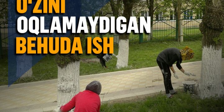 Daraxtlarni oqlash foydali amalmi yoki ko‘zbo‘yamachilikning bir turi?